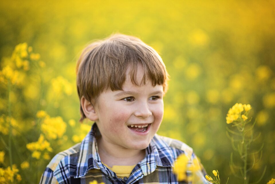 Yellow flowers cute