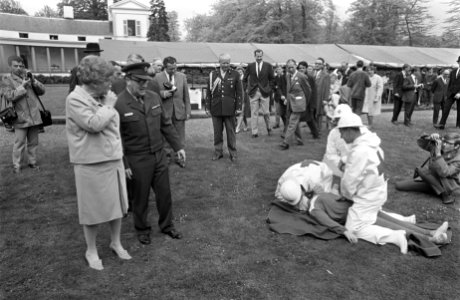 Koninginnedag. koningin Juliana in de tuin, Bestanddeelnr 921-3042