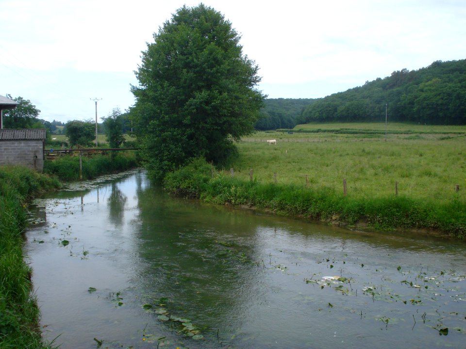 Le Beuvron à Thurigny