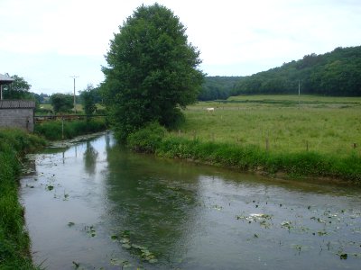 Le Beuvron à Thurigny
