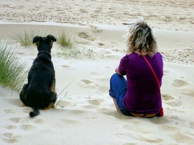 Dog and sand togetherness gazing at their world photo