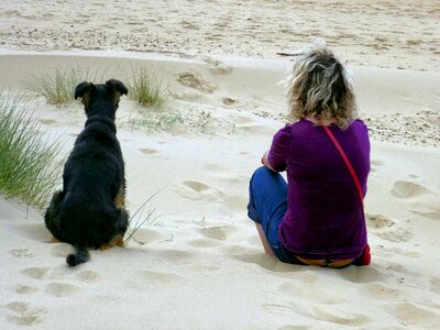 Dog and sand togetherness gazing at their world