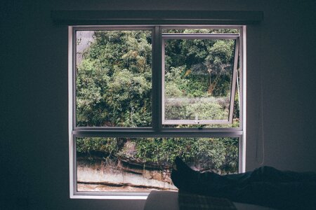 Window interior window view