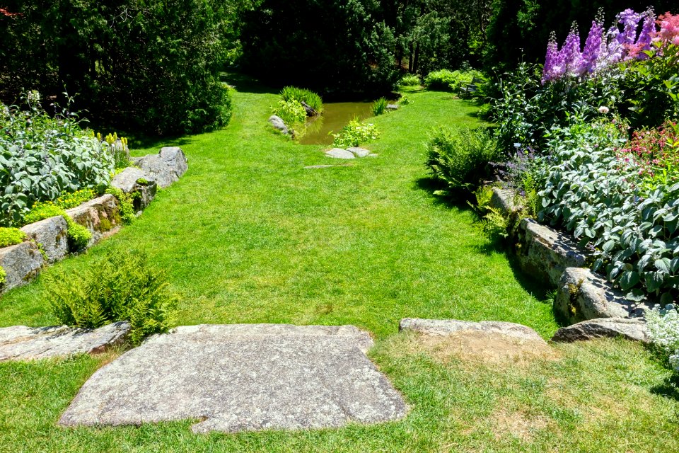 Lawn - Thuya Garden - Northeast Harbor, Maine - DSC03723