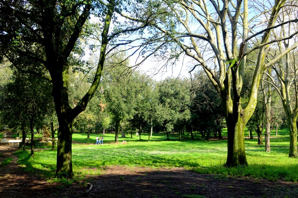 Lawn - Villa Borghese - Rome, Italy - DSC04558