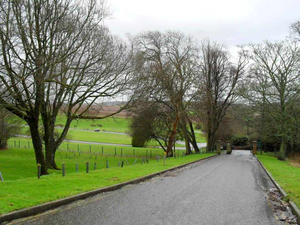 Lawn Cemetery, Warren Road, Woodingdean (February 2011) (Approach)