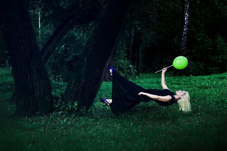 In the forest forest tree