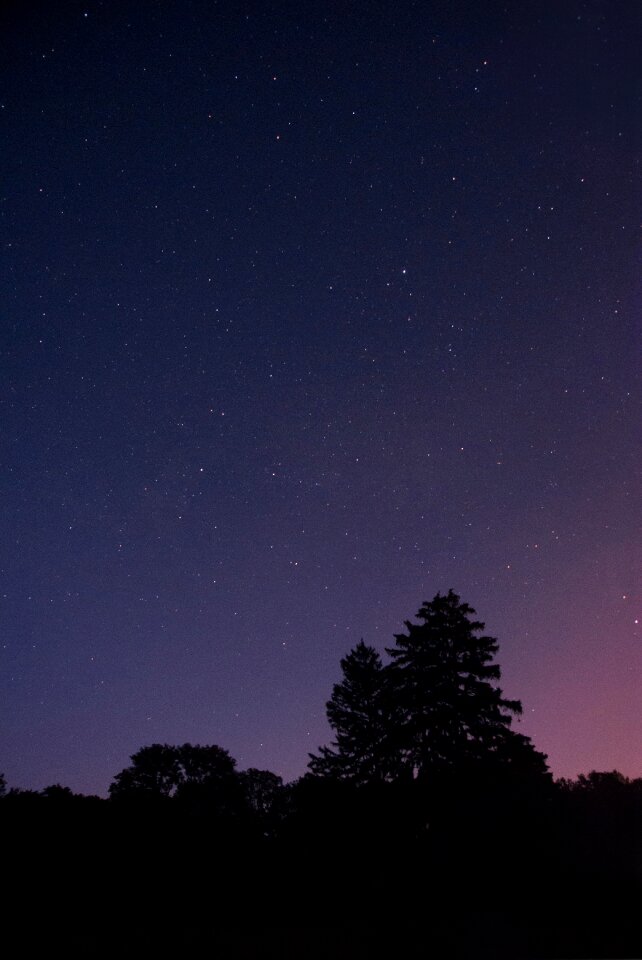 Sky starry starry sky