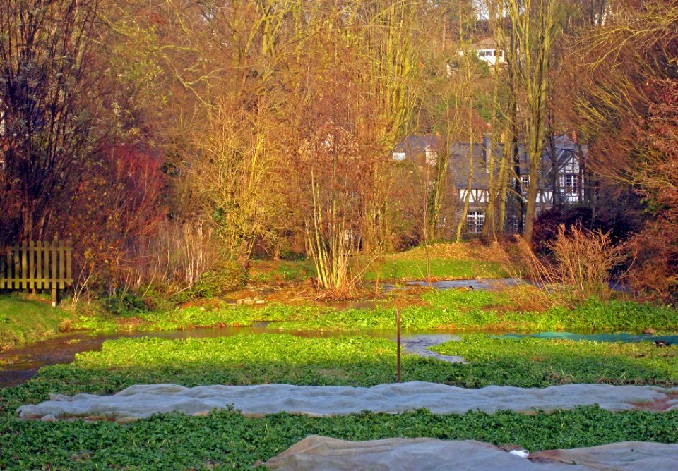 Le Cresson (34613362)