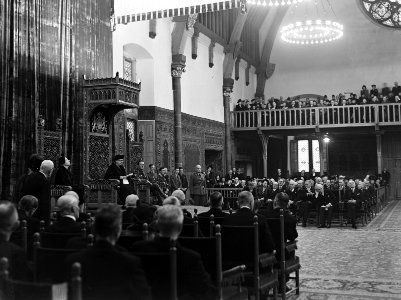 Koningin Wilhelmina op de troon, Bestanddeelnr 901-0969