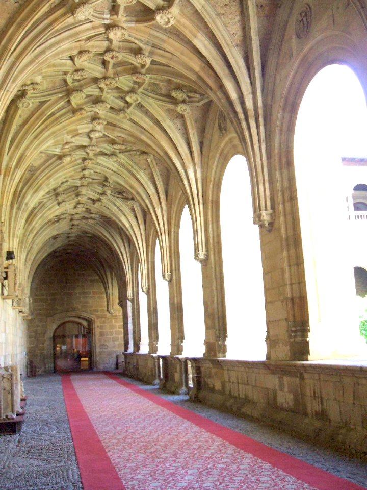León - Convento-Parador de San Marcos 16