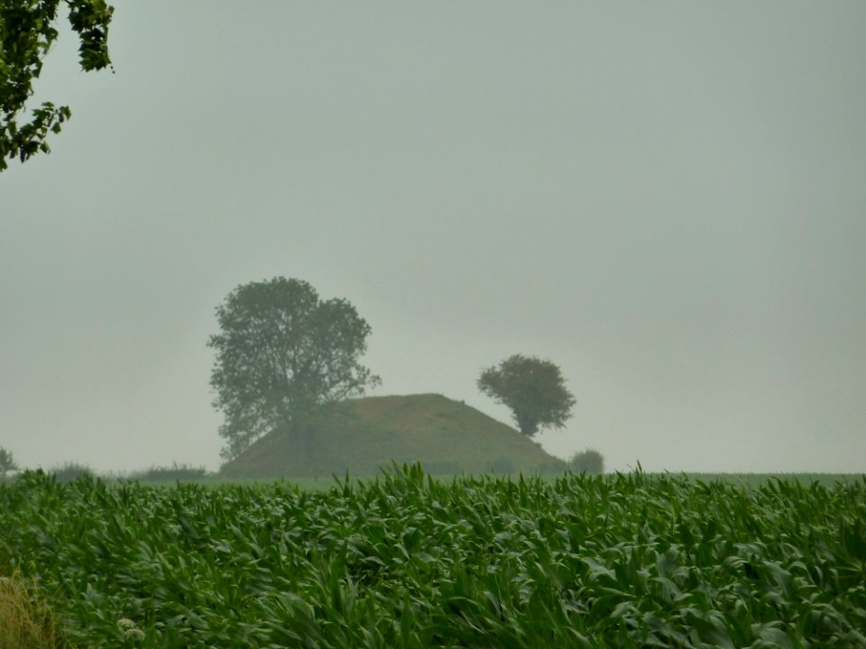 Lauw-Herstappeltombe (1)