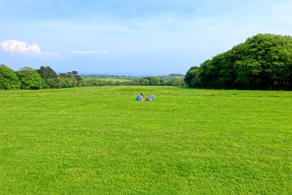 Lawn - Trengwainton Garden - Cornwall, England - DSC02588