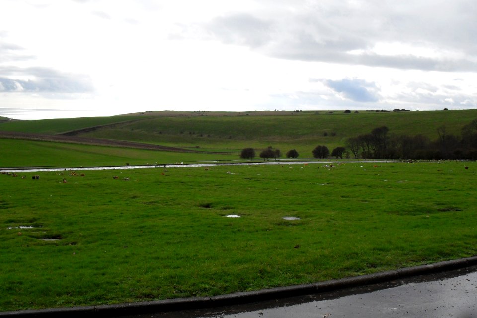 Lawn Cemetery, Warren Road, Woodingdean (February 2011) (General view from N) (1)