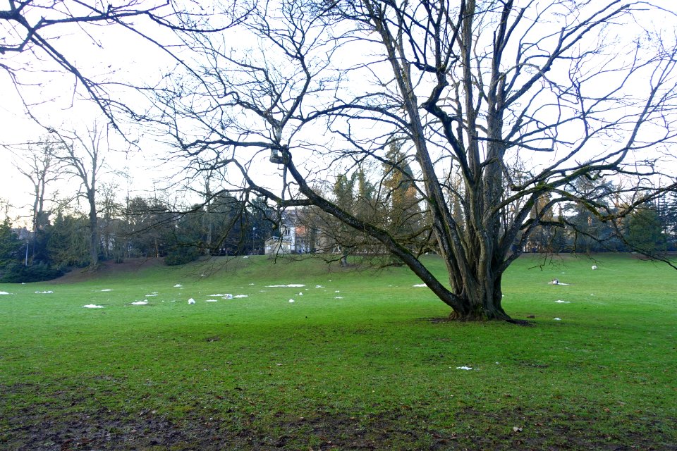 Lawn - Parc Ed. Klein - Luxembourg City - DSC06660