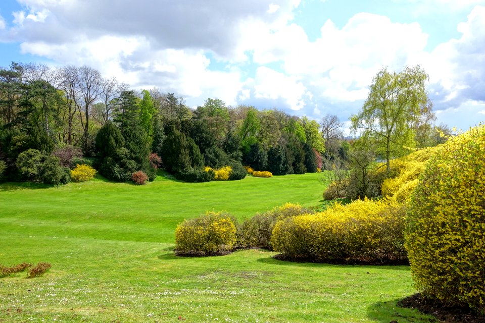 Lawn - Royal Castle of Laeken - Brussels, Belgium - DSC07093