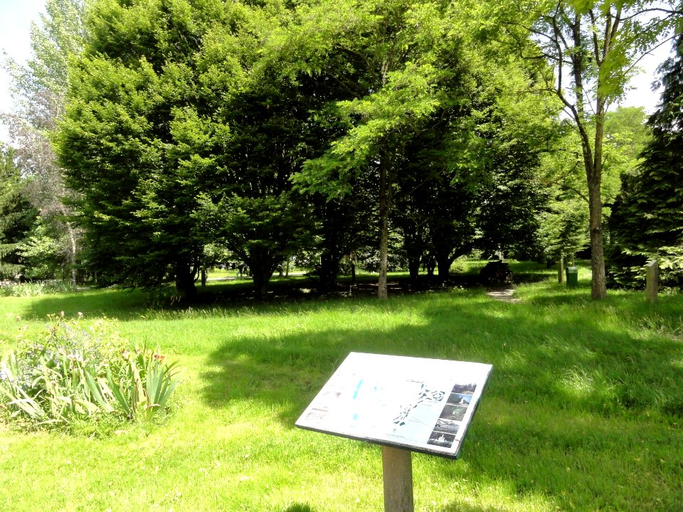 Le Chevain (Sarthe) arboretum