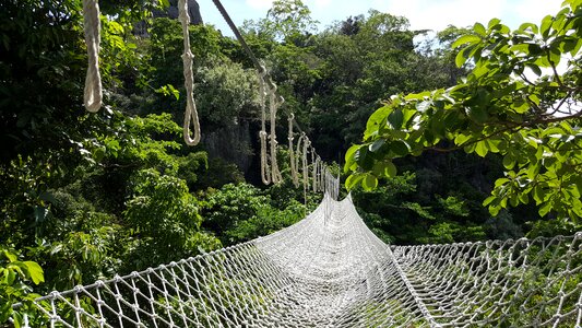 Net outdoors green bridge
