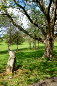 Lawn with milestone - National Road Museum - DSC02780