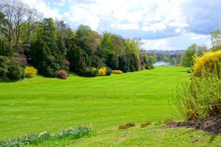 Lawn - Royal Castle of Laeken - Brussels, Belgium - DSC07103