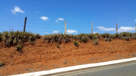 Latossolo ao lado da Rodovia MG-173, Conceição dos Ouros