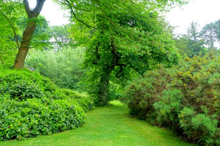 Lawn - Biddulph Grange Garden - Staffordshire, England - DSC09212