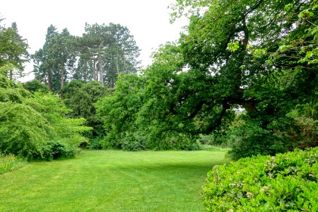 Lawn - Biddulph Grange Garden - Staffordshire, England - DSC09216