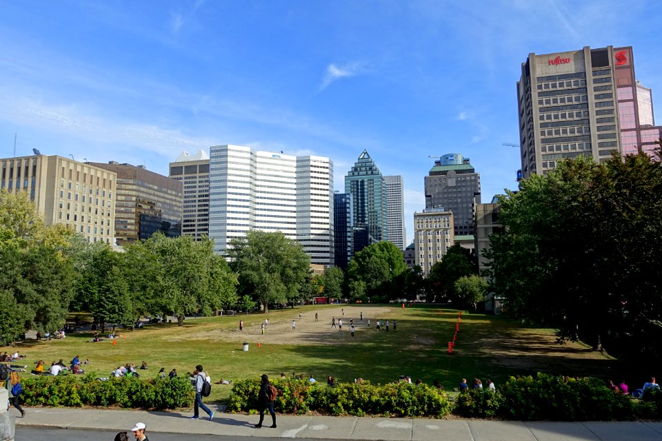 Lawn - McGill University - Montreal, Canada - DSC08283