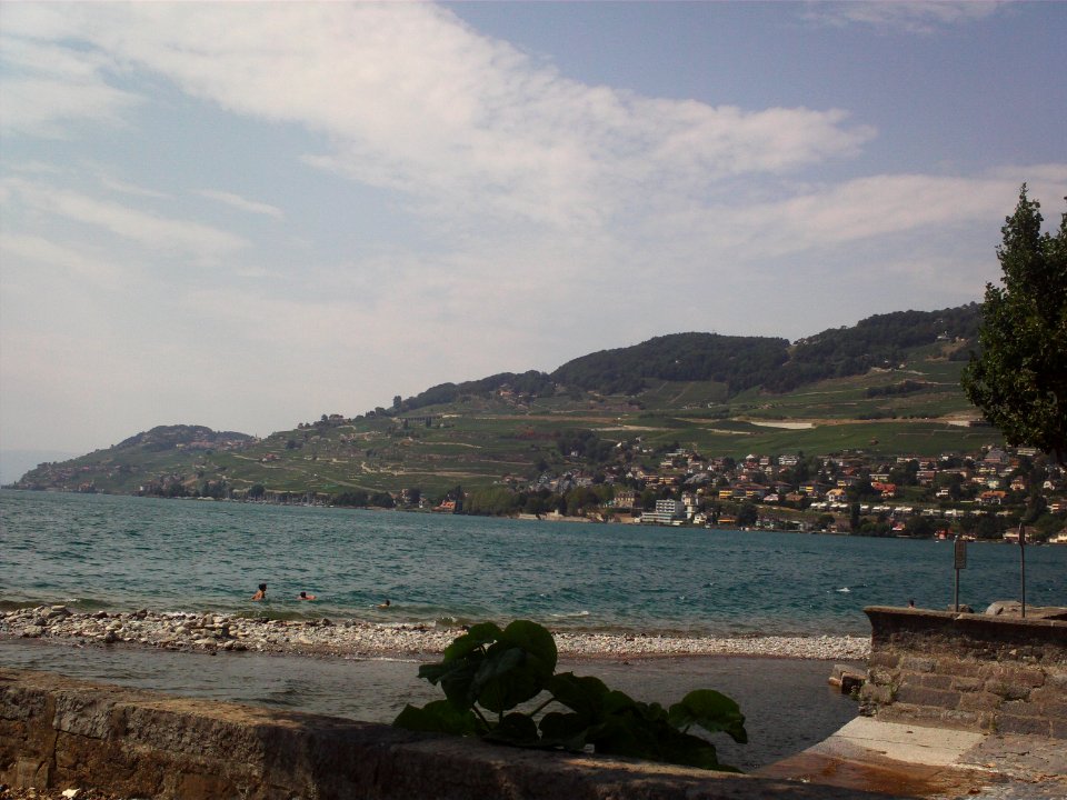 Lavaux from Vevey