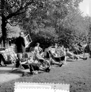 Late zomerplaatjes, paddenstoelen zoeken in het Vondelpark, Bestanddeelnr 907-3801