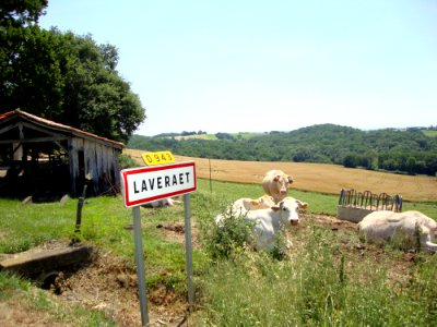 Laveraët (Gers, Fr) paysage