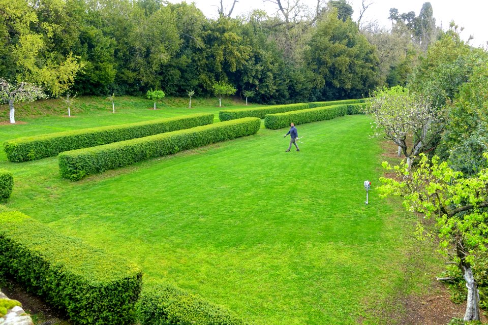 Lawn - Castello Ruspoli - Vignanello, Italy - DSC02777