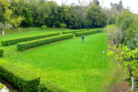 Lawn - Castello Ruspoli - Vignanello, Italy - DSC02777
