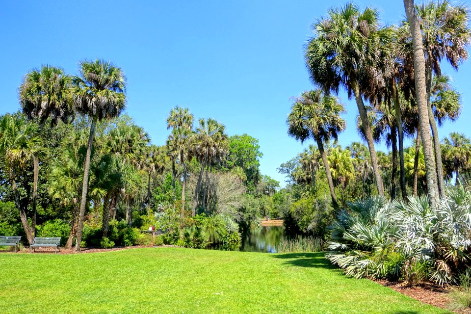 Lawn - Bok Tower Gardens - DSC02256