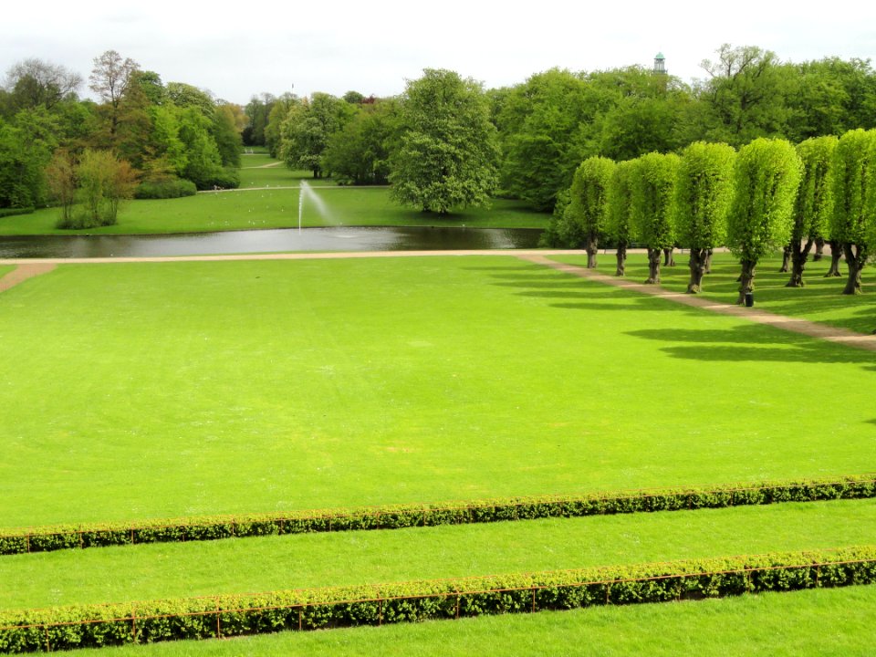 Lawn - Frederiksberg Have - Copenhagen - DSC08938