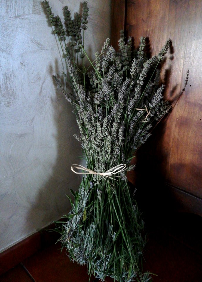 Lavande lavender bouquet