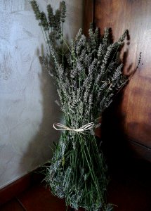 Lavande lavender bouquet