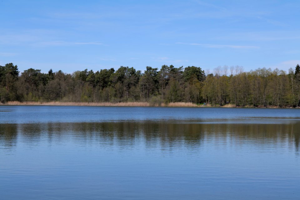 Lebersee 2021-05-09 16