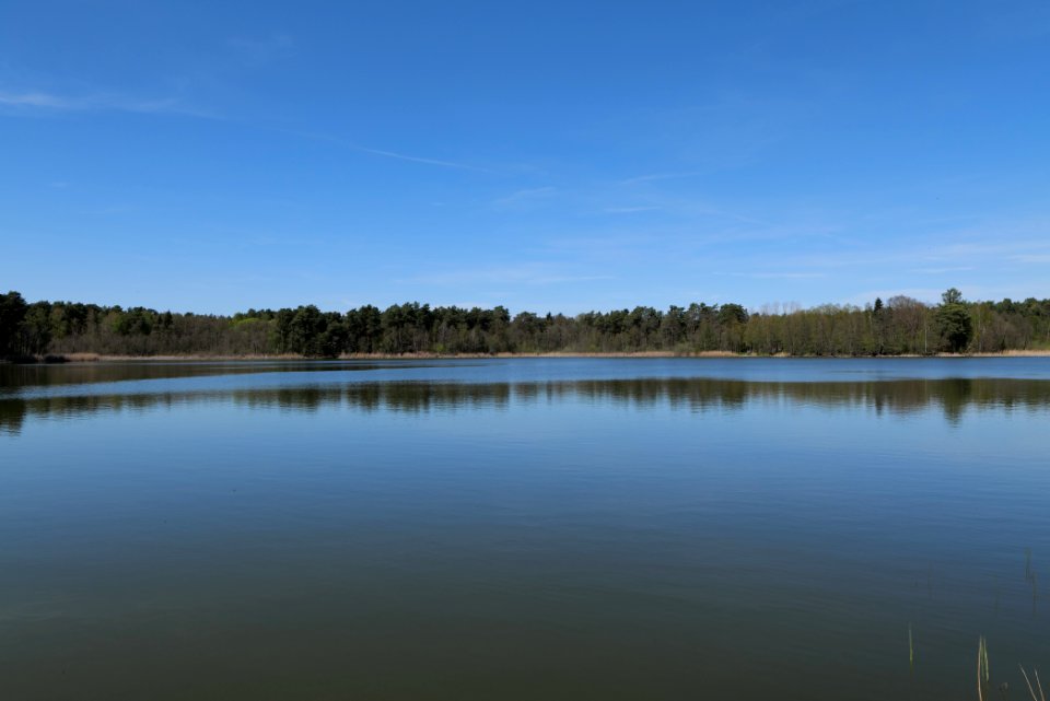 Lebersee 2021-05-09 20