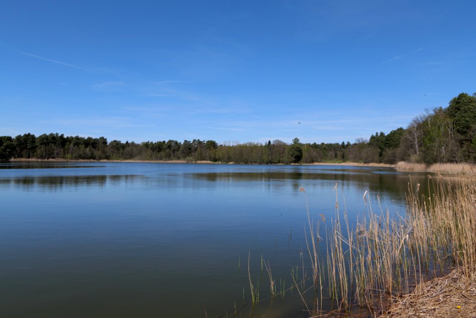 Lebersee 2021-05-09 08