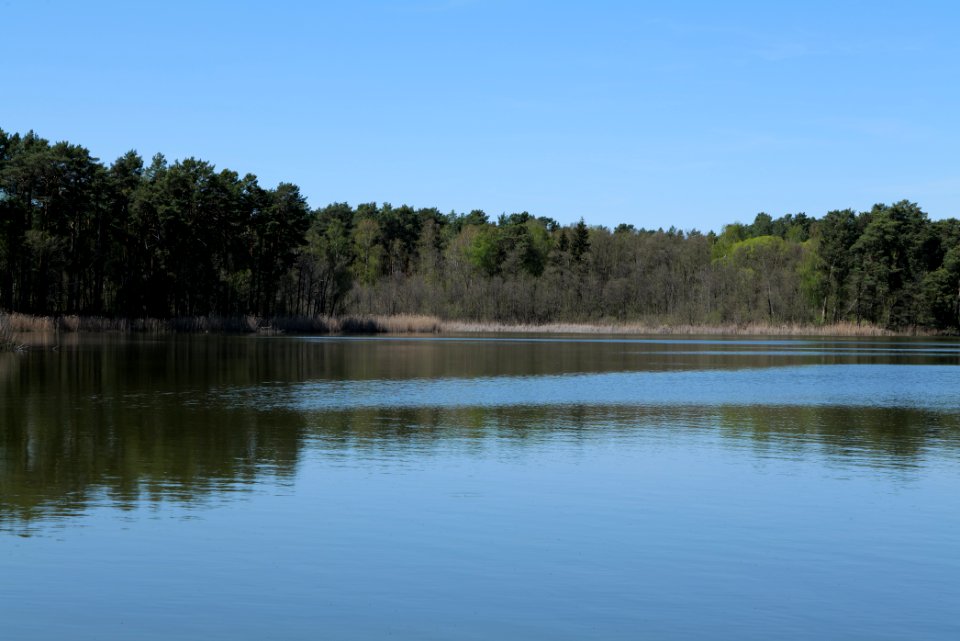 Lebersee 2021-05-09 13