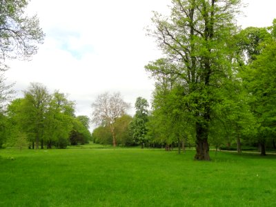 Lawn - Frederiksberg Have - Copenhagen - DSC08916