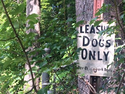 Leashed Dogs Only