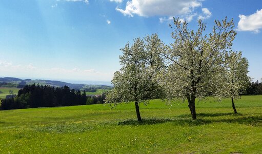 Sky meadow clouds