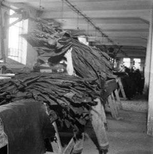 Leder- en textielfabricage, Bestanddeelnr 900-9507