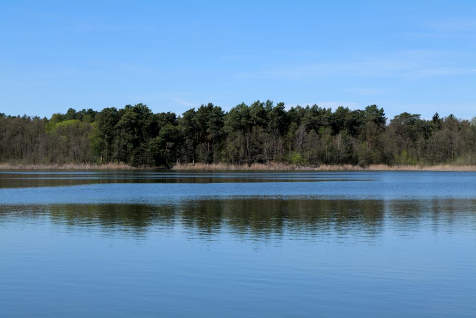 Lebersee 2021-05-09 15