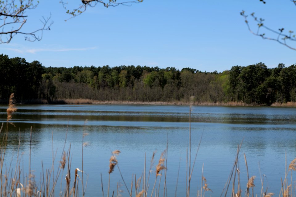 Lebersee 2021-05-09 23
