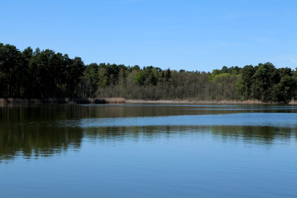 Lebersee 2021-05-09 12