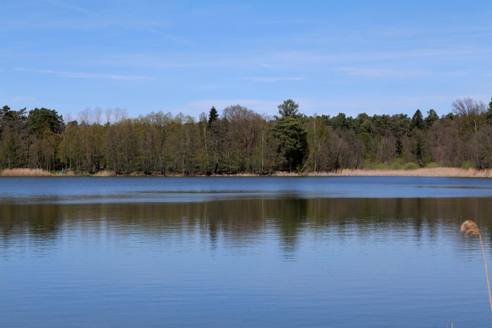 Lebersee 2021-05-09 17