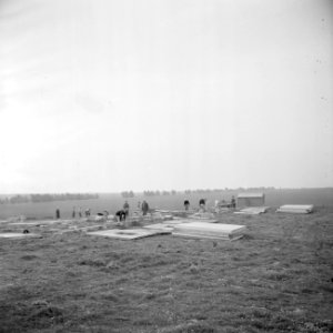 Leden van de bouwploeg van moederkibboets Yavne monteren barakken uit geprefabri, Bestanddeelnr 255-0687